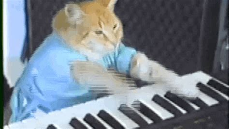 Keyboard Cat GIFs .